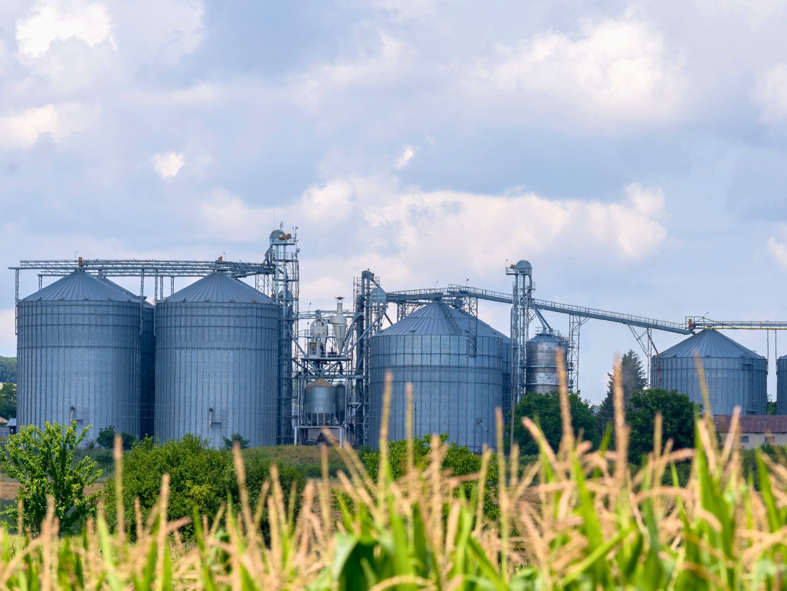 Nova lei reduz burocracia para armazéns no país e pode impulsionar o agronegócio no Acre