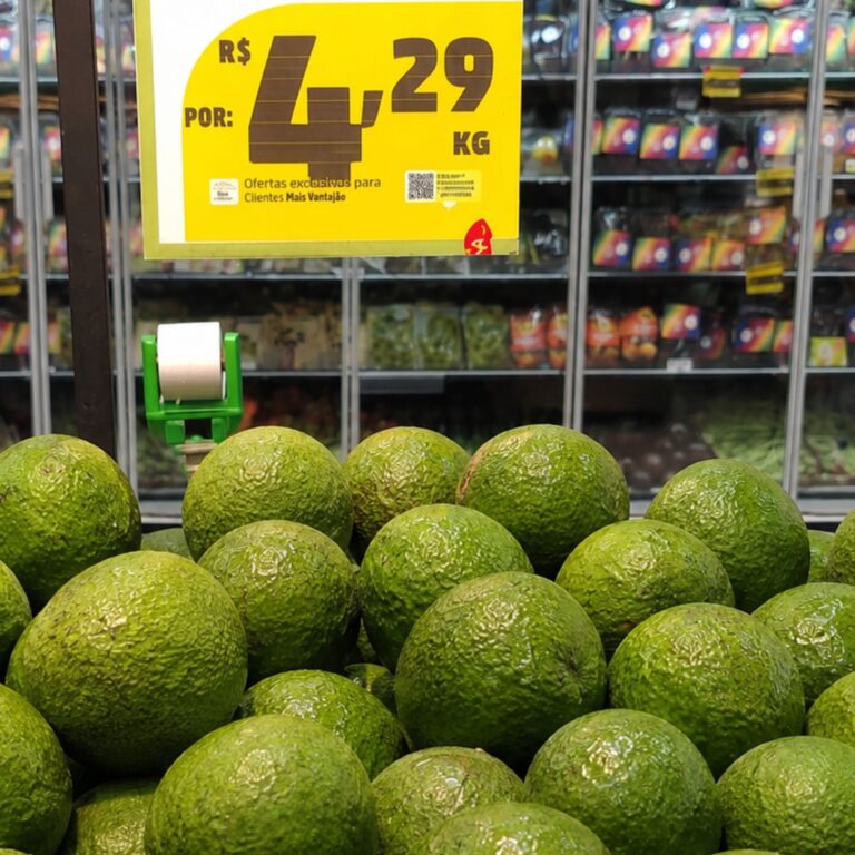 Abacate no Acre: preço recua para a faixa de R$ 4 após forte alta no ano passado