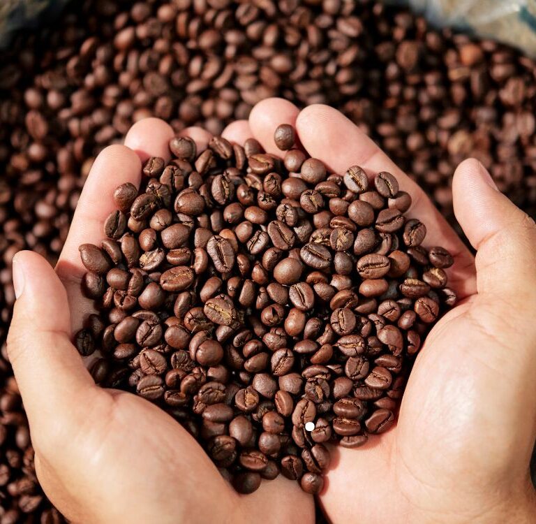 Seagri destina R$ 390 mil, via Associação dos Produtores de Café do Acre, para impulsionar produção