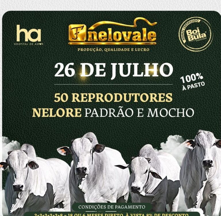 Leilão Nelovale reúne 50 reprodutores Nelore padrão e mocho neste domingo em Rio Branco