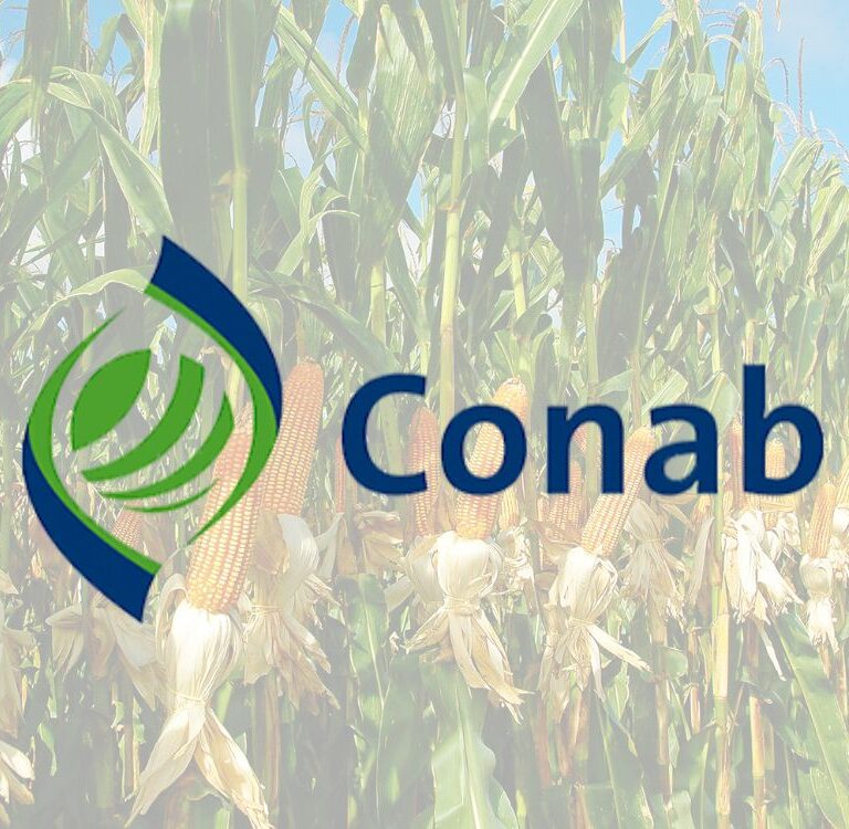 Chamada pública Amazônia Viva da Conab aprova apenas três iniciativas acreanas e deixa 15 de fora