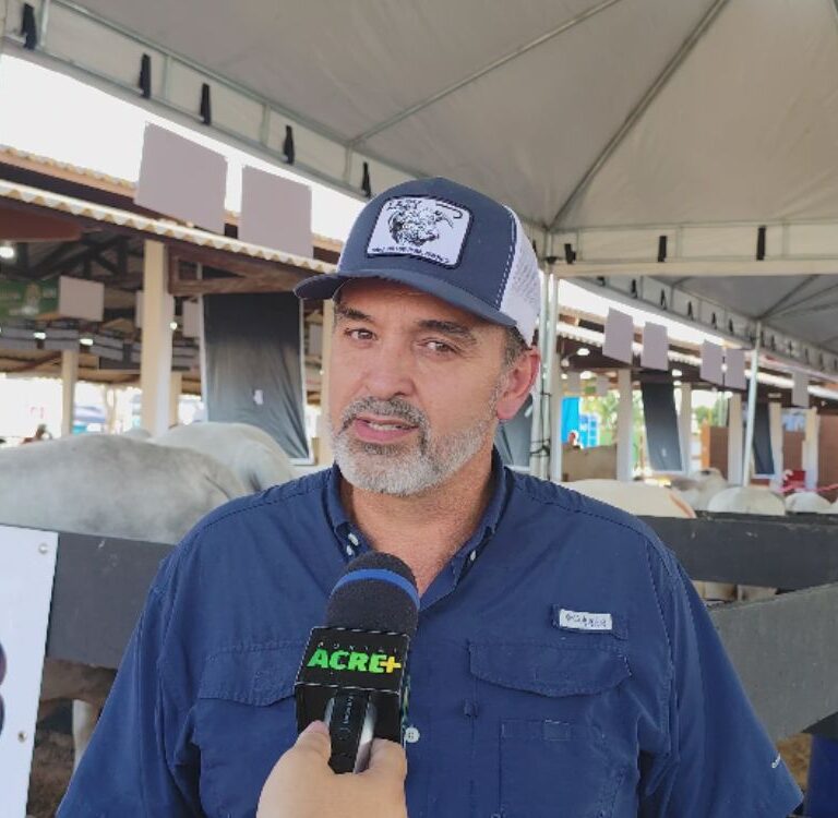 Fazenda Arizona apresenta genética de ponta e bezerra prenhe de apenas nove meses na Expoacre 2026