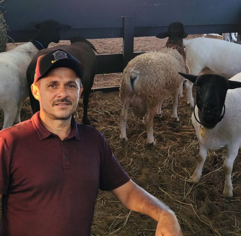 Rancho JM leva ovinos de alto padrão genético à Expoacre e incentiva produção no Norte
