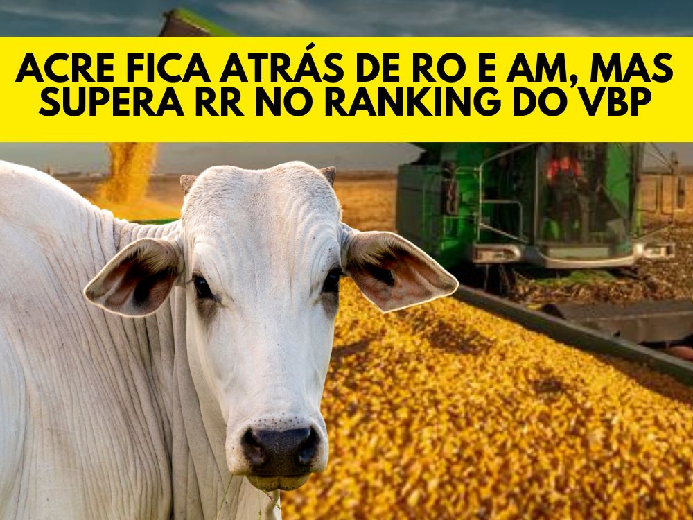 Acre aparece em 22º lugar no ranking nacional do Valor Bruto da Produção Agropecuária