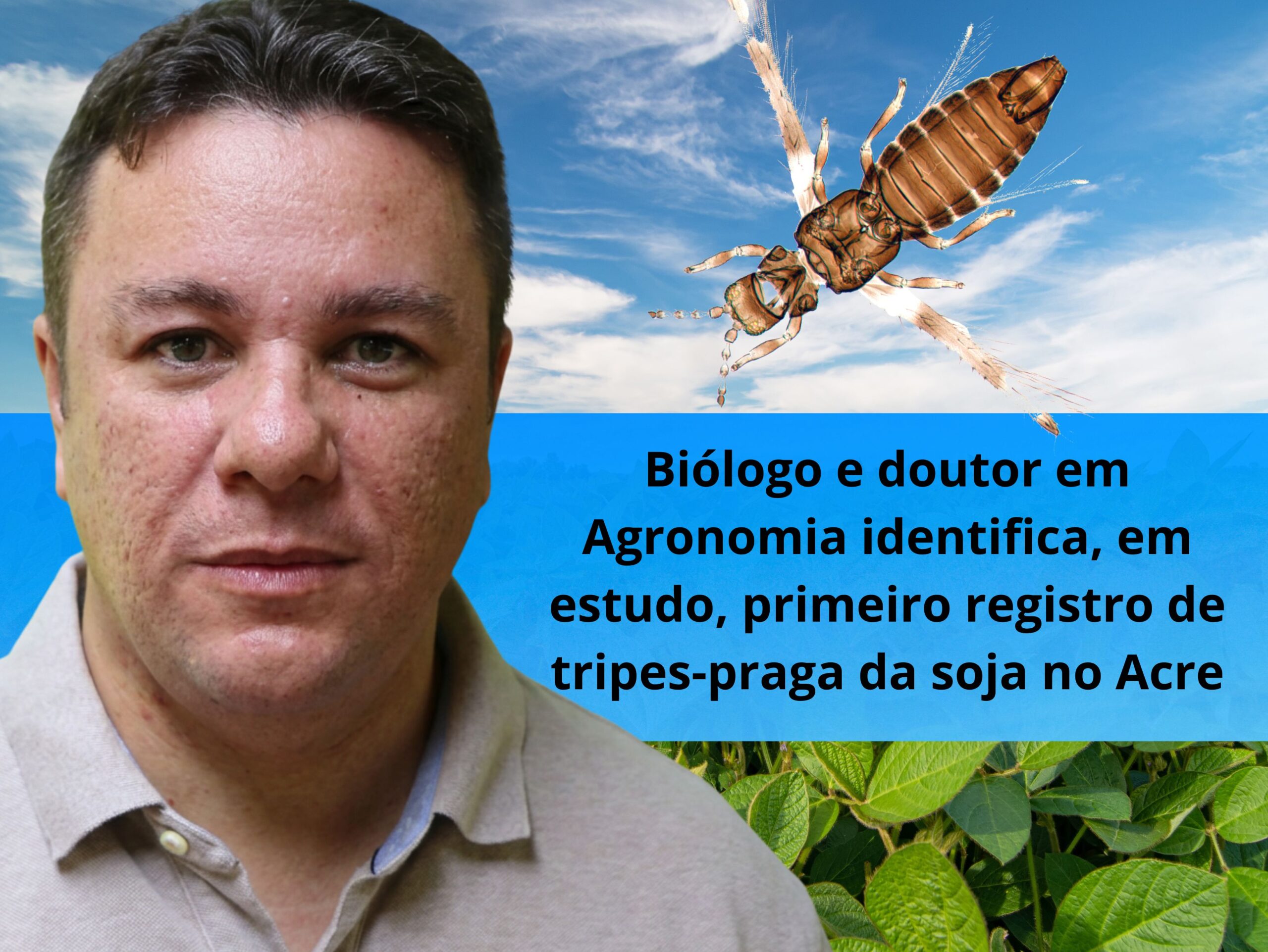 Pequenos insetos, grandes prejuízos: primeiro registro de tripes-praga da soja é identificado no Acre