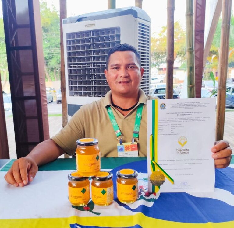 IG: Acre se torna cenário de conquista histórica para a meliponicultura de Boa Vista do Ramos (AM)