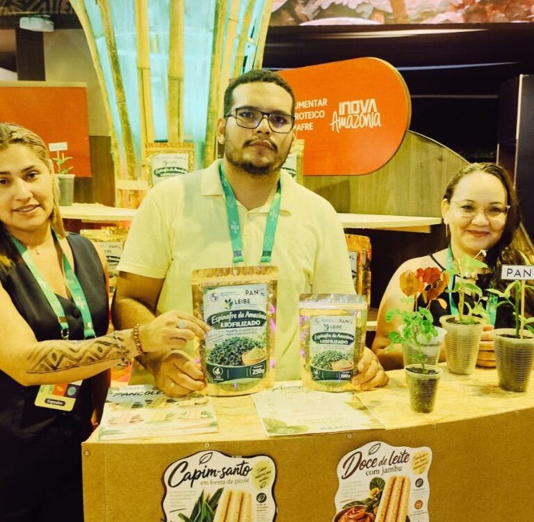 ‘Espinafre da Amazônia’: planta tradicional vira farinha nutritiva desenvolvida por pesquisadores da Ufac