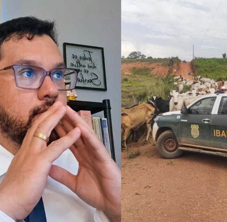 Advogado alerta produtores rurais do Acre sobre riscos de ignorar embargos ambientais