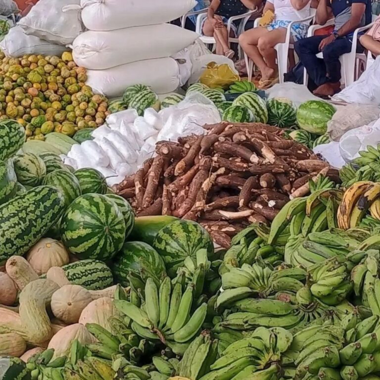 Marechal Thaumaturgo e Sena Madureira aderem ao Sistema Nacional de Segurança Alimentar